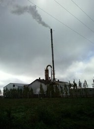 Incinerador industrial