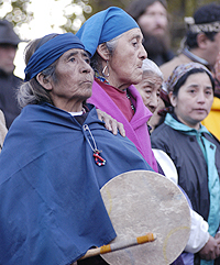 Activismo mapuche en...