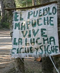 Mapuches viajan a Bu...