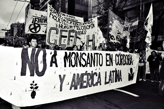 No a Monsanto...