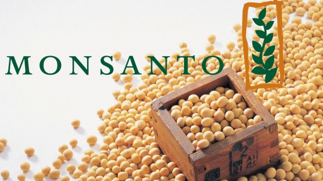Monsanto gana el jui...
