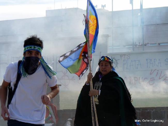 Mujer mapuche y jove...