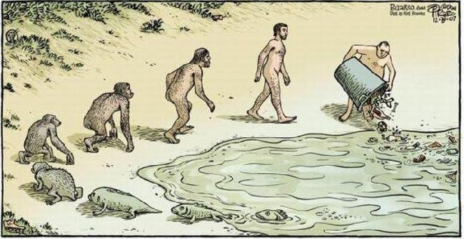 EVOLUCION...