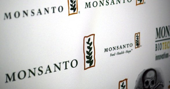 La pelea de Monsanto...