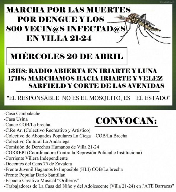 Foto dengue...