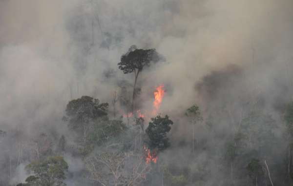 Brasil: incendios am...