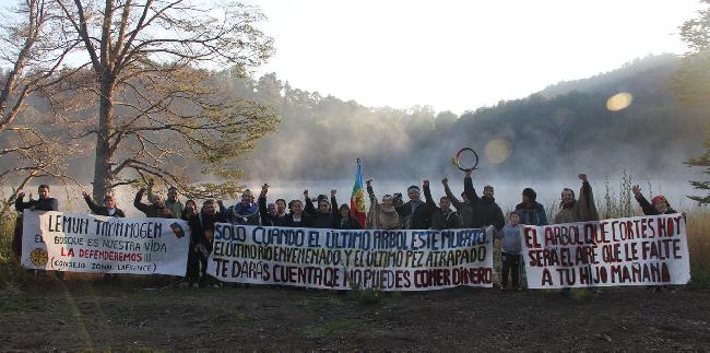 Fotos: Mapuches llev...
