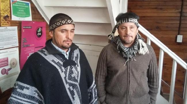 Mapuches ocupan el S...