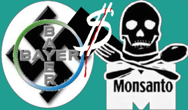 La fusión Bayer-Mon...