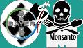 La fusión Bayer-Monsanto y el efecto dominó que amenaza la alimentación mundial