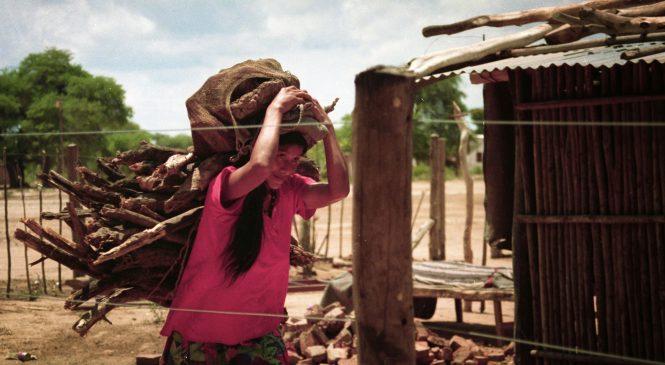 Mujeres Indígenas en Argentina: visibilidad, luchas y acciones colectivas