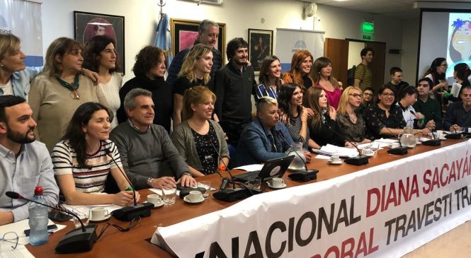 Proyecto de cupo nacional Diana Sacayán: “Esta ley viene a romper estigmas”