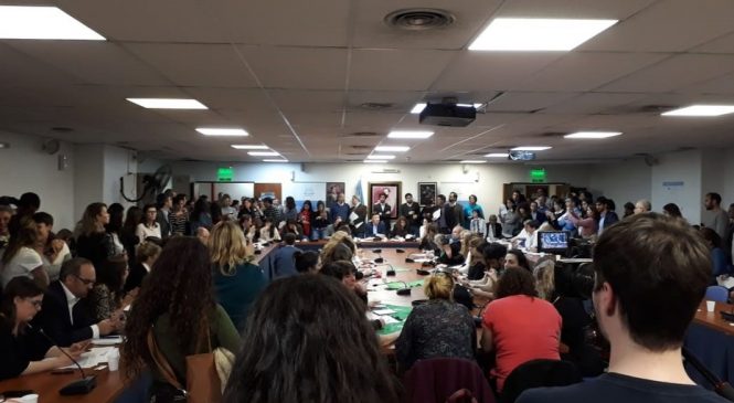 Comenzó el debate por la reforma de la Ley de Educación Sexual Integral