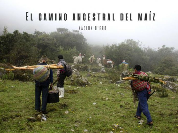 Chaco: Comienza el 11º Festival de Cine de los Pueblos Indígenas