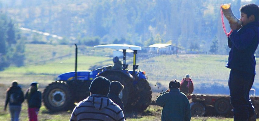 Histórico: justicia chilena ordena al Grupo Angelini a devolver terrenos a comunidad mapuche