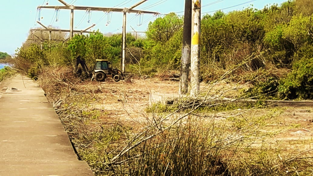 Desmonte en la ribera de Bernal realizado por Edesur