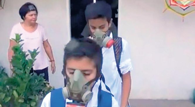 En Entre Ríos se prohibió fumigar a menos de 3 mil metros de las escuelas
