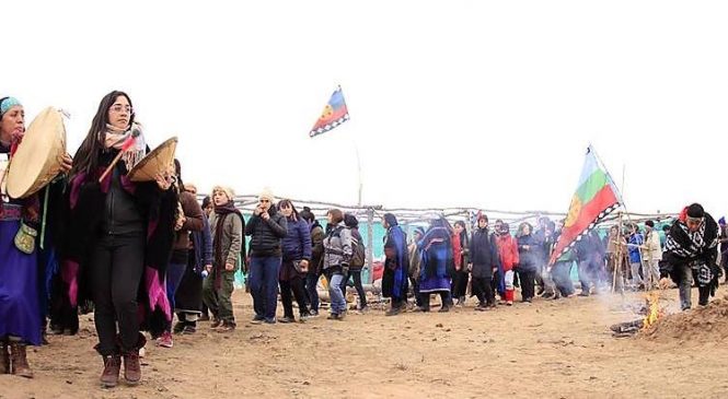 Neuquén: otro revés judicial para Quiroga por nuestras tierras en la Meseta