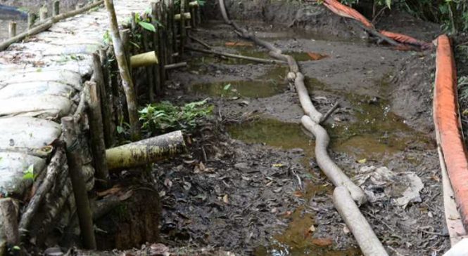 Colombia: Corte ordena consultar a los awá para proyecto petrolero del Putumayo