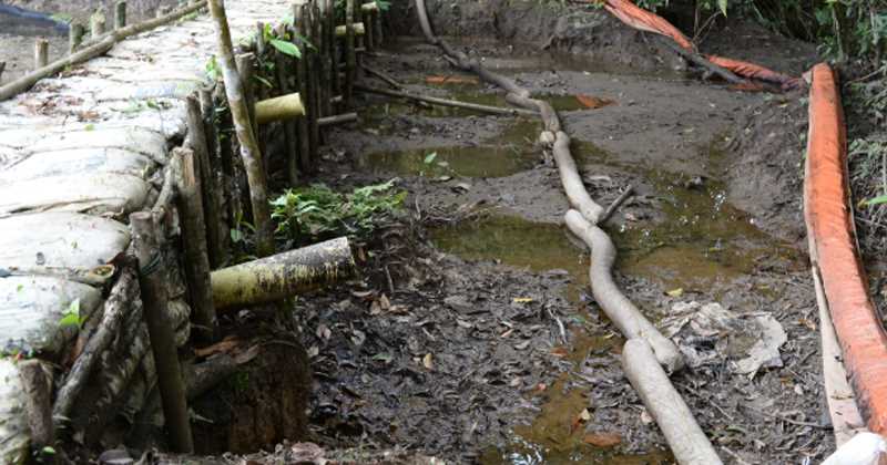 Colombia: Corte ordena consultar a los awá para proyecto petrolero del Putumayo