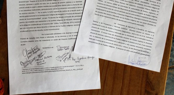 Un conjunto de organizaciones indígenas del país le decimos No a la ley de semillas de Bayer/Monsanto