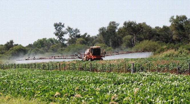La Provincia de Buenos Aires ya es zona liberada para los agrotóxicos