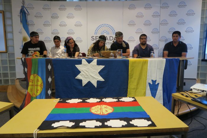 El pueblo mapuche llevó su voz al Senado de la Nación