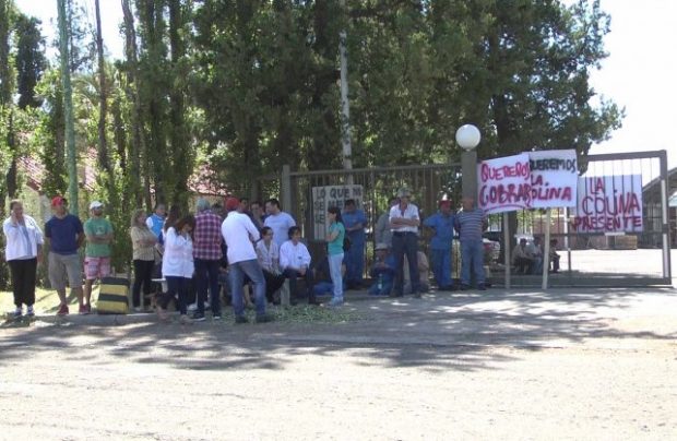 800 empleos en riesgo en la conservera La Colina de Mendoza