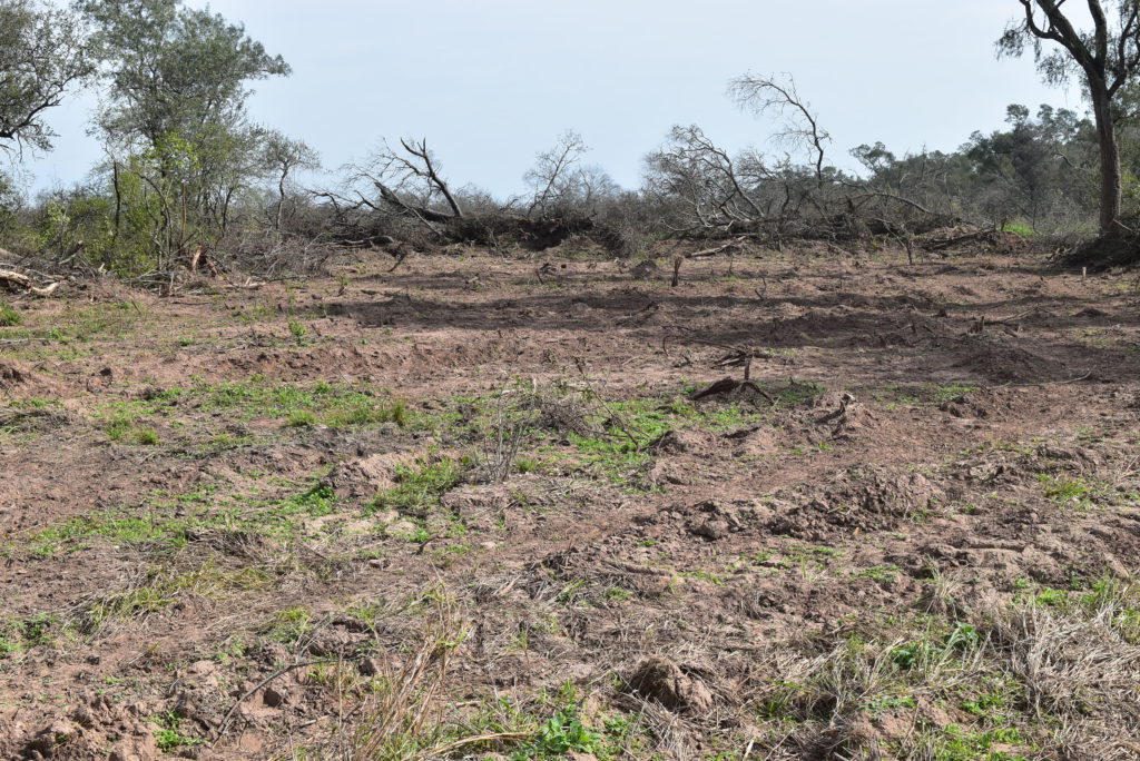 Chaco: Estafa ambiental y cambio climático
