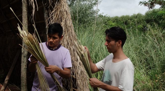 “Un freno a los negociados que excluyen a muchos habitantes de Tigre”