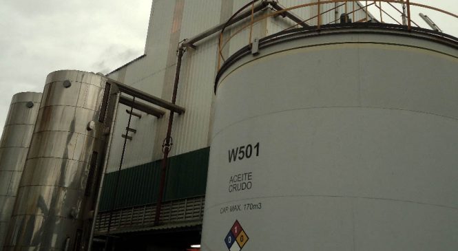 Por efecto retenciones y China, la molienda de soja caerá 30% este año