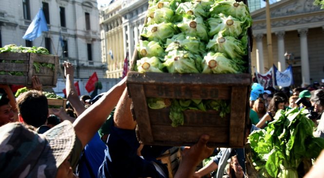 Verdurazo en Plaza de Mayo