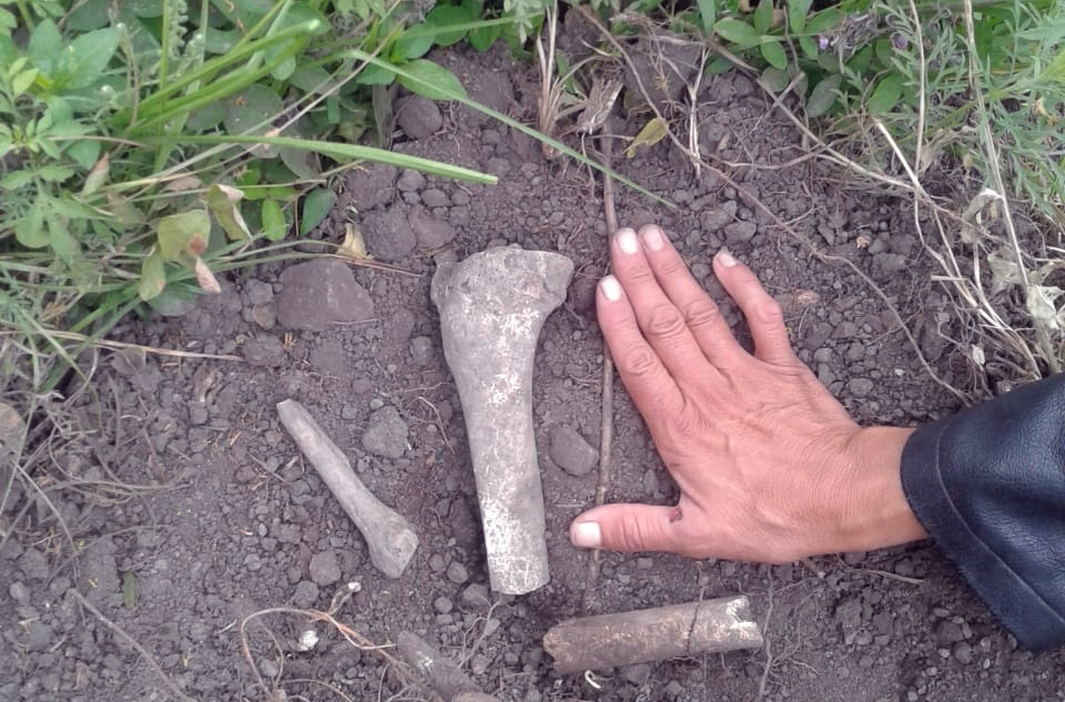 Córdoba: Hallan restos óseos en territorio del pueblo Comechingón