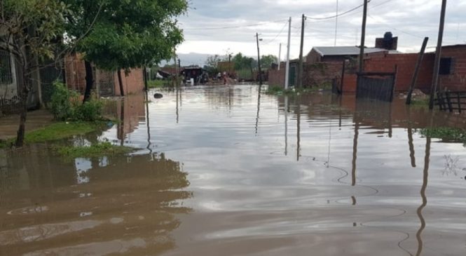 La deforestación es una de las principales causas de las inundaciones que afectan a Chaco