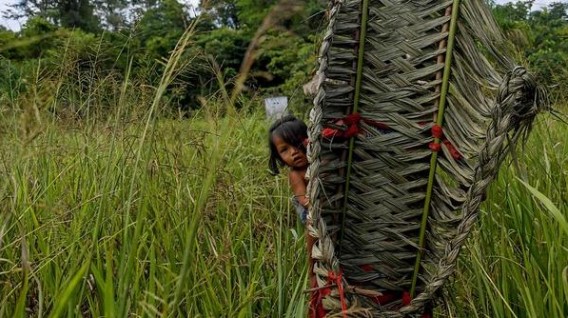 La menor reserva indígena de Brasil “resiste” en la mayor urbe de Sudamérica