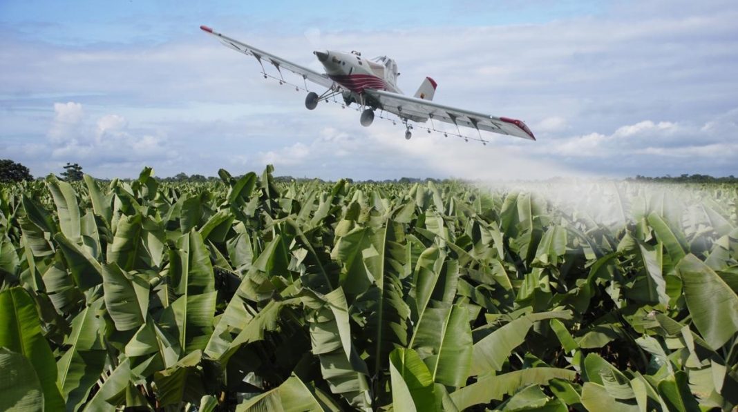 Acción global contra Monsanto: la lucha contra los agrotóxicos que nos están matando
