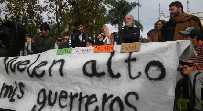 Doctrina Bullrich: en mayo, más muertes que días