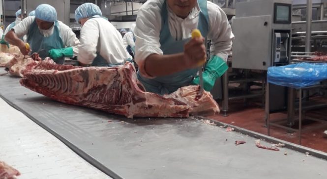 Luchar sirve: reincorporaron a los despedidos en el Frigorífico Rioplatense