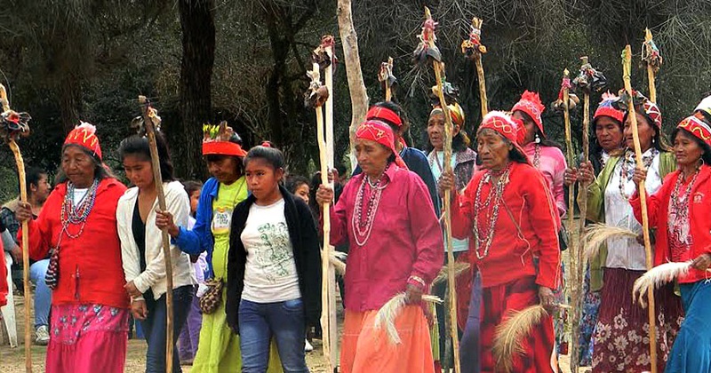 El Museo de La Plata restituirá los restos de una niña Nivaclé, el último pueblo víctima del genocidio blanco