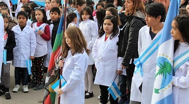 ¿Bandera mapuche o bandera argentina?