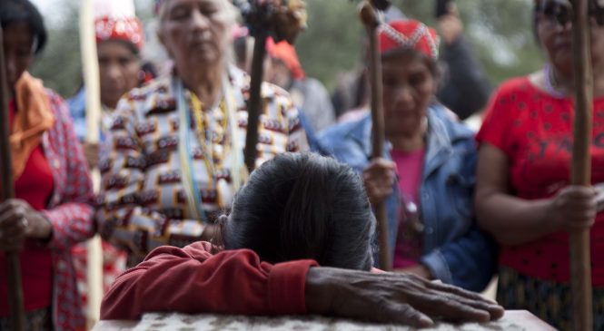 El Museo de La Plata restituyó los restos de una niña nivaclé a su pueblo en Formosa