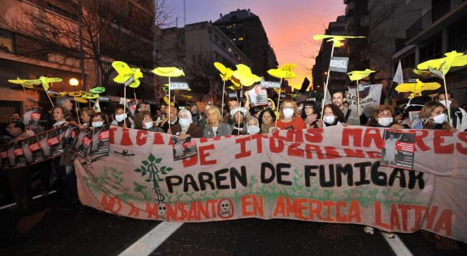 Marcha de barbijos contra los agrotóxicos