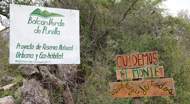 Cuidar el monte de la voracidad empresarial