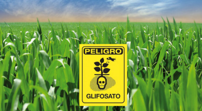 En Argentina se utilizan más de 100 plaguicidas prohibidos