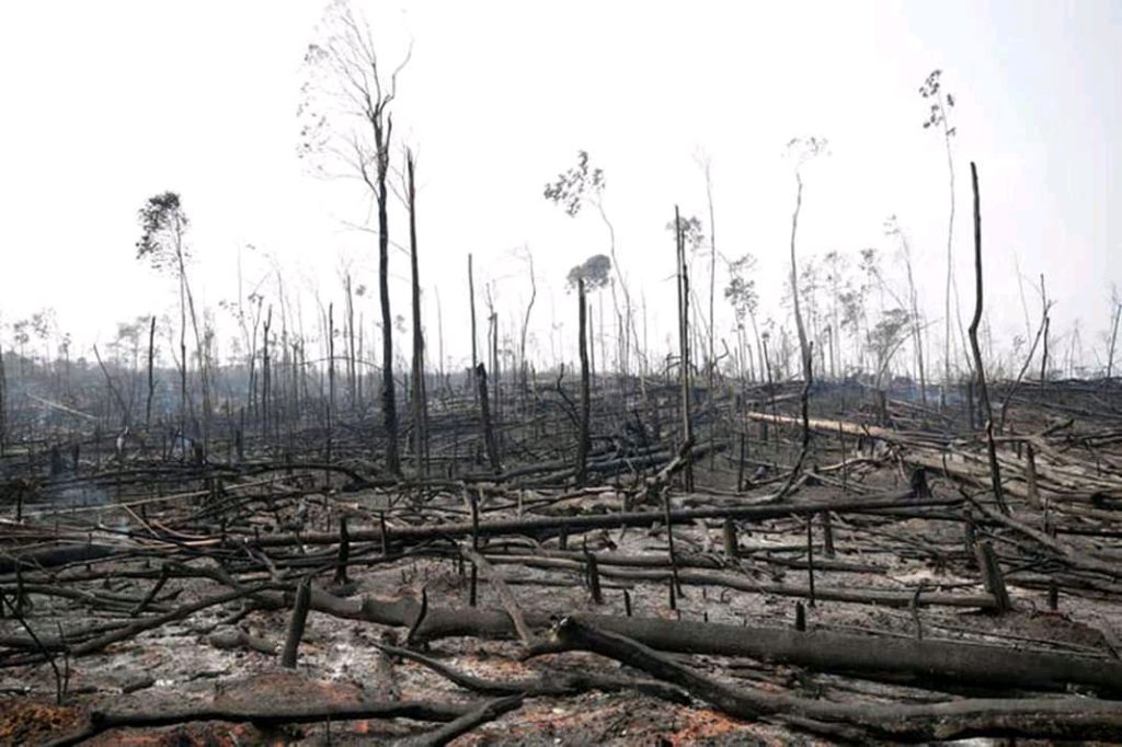 El humo del Amazonas ya estaba en Argentina
