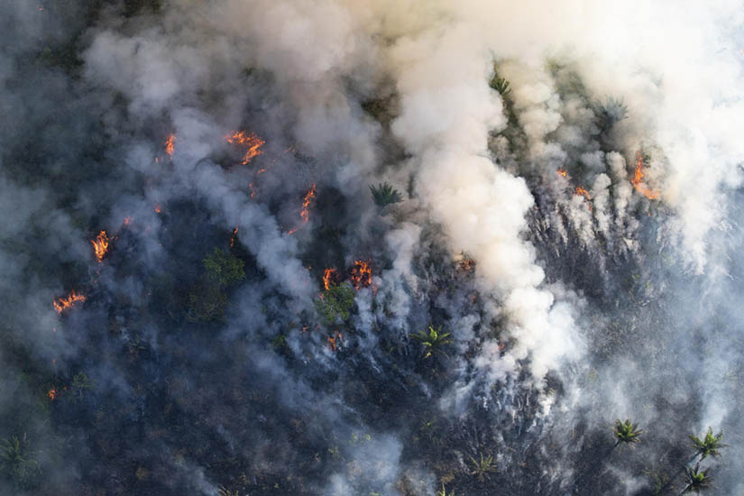 “Quemar la Amazonía es un crimen contra la humanidad”