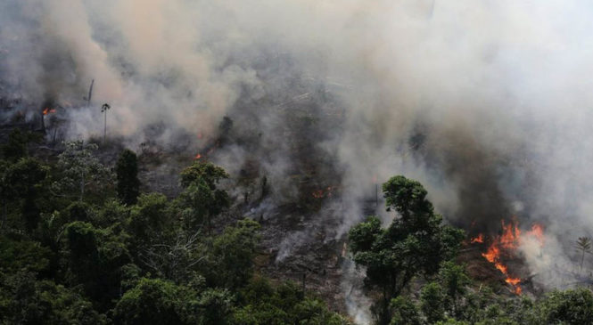 Humo de incendios criminales en la Amazonía se propaga por todo el continente