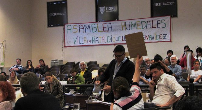 Tigre: el reclamo por los humedales volvió a escucharse en el Concejo Deliberante