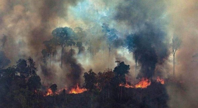 El incendio de la derecha latinoamericana