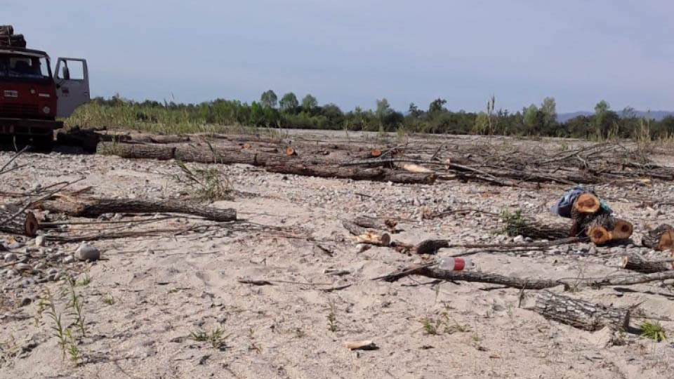 Deforestación en Orán: cortaron sauces que protegían del río a una comunidad kolla